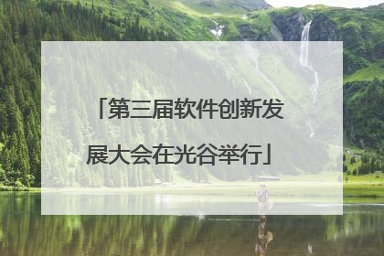 第三届软件创新发展大会在光谷举行