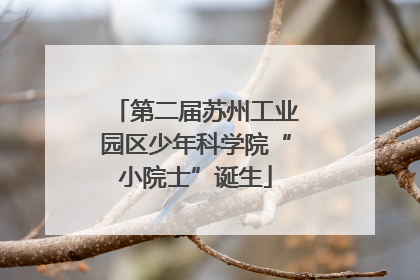 第二届苏州工业园区少年科学院“小院士”诞生