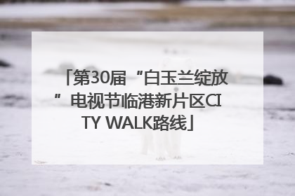 第30届“白玉兰绽放”电视节临港新片区CITY WALK路线