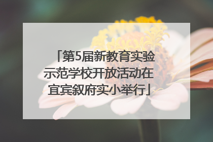 第5届新教育实验示范学校开放活动在宜宾叙府实小举行