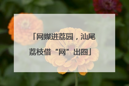 网媒进荔园，汕尾荔枝借“网”出圈
