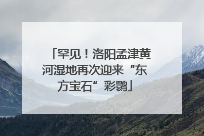 罕见！洛阳孟津黄河湿地再次迎来“东方宝石”彩鹮
