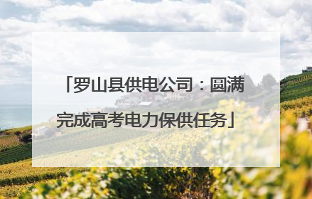 罗山县供电公司：圆满完成高考电力保供任务
