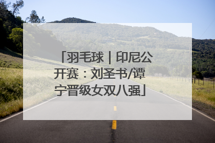 羽毛球｜印尼公开赛：刘圣书/谭宁晋级女双八强