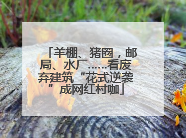 羊棚、猪圈，邮局、水厂……看废弃建筑“花式逆袭”成网红村咖