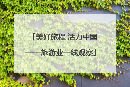 美好旅程 活力中国——旅游业一线观察