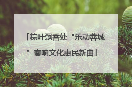 粽叶飘香处“乐动蓉城”奏响文化惠民新曲