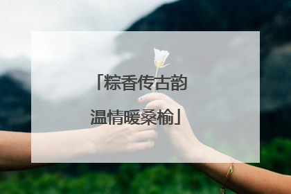 粽香传古韵 温情暖桑榆