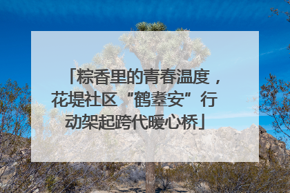 粽香里的青春温度，花堤社区“鹤耋安”行动架起跨代暖心桥