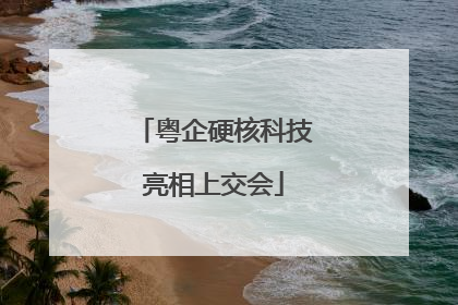 粤企硬核科技亮相上交会