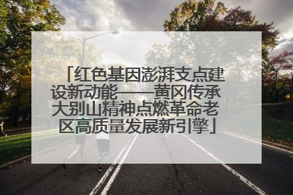 红色基因澎湃支点建设新动能——黄冈传承大别山精神点燃革命老区高质量发展新引擎