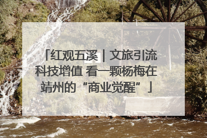 红观五溪｜文旅引流 科技增值 看一颗杨梅在靖州的“商业觉醒”