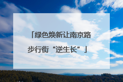绿色焕新让南京路步行街“逆生长”