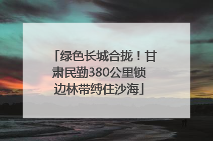 绿色长城合拢！甘肃民勤380公里锁边林带缚住沙海