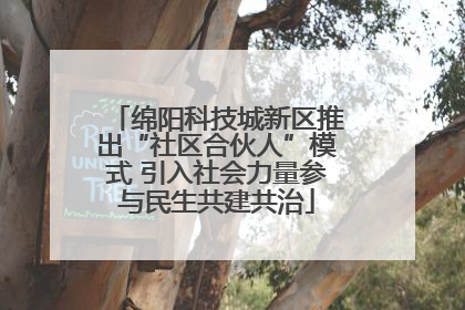 绵阳科技城新区推出“社区合伙人”模式 引入社会力量参与民生共建共治