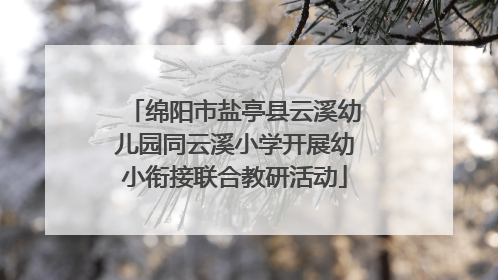 绵阳市盐亭县云溪幼儿园同云溪小学开展幼小衔接联合教研活动