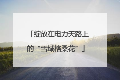 绽放在电力天路上的“雪域格桑花”
