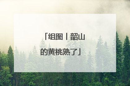 组图丨韶山的黄桃熟了