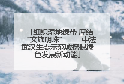 细织湿地绿带 厚结“文旅明珠”——中法武汉生态示范城挖掘绿色发展新动能