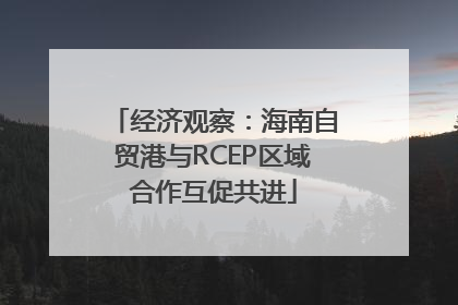 经济观察：海南自贸港与RCEP区域合作互促共进