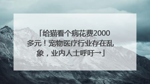给猫看个病花费2000多元！宠物医疗行业存在乱象，业内人士呼吁→