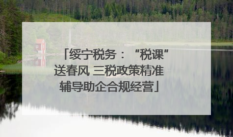 绥宁税务：“税课”送春风 三税政策精准辅导助企合规经营