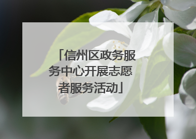 信州区政务服务中心开展志愿者服务活动