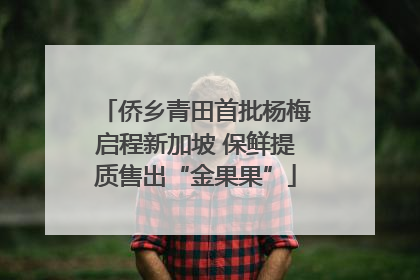 侨乡青田首批杨梅启程新加坡 保鲜提质售出“金果果”