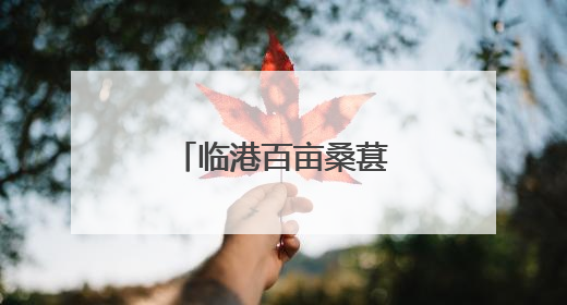 临港百亩桑葚“紫”了！采摘期可至7月初