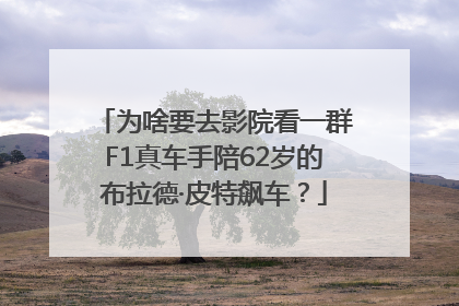 为啥要去影院看一群F1真车手陪62岁的布拉德·皮特飙车？