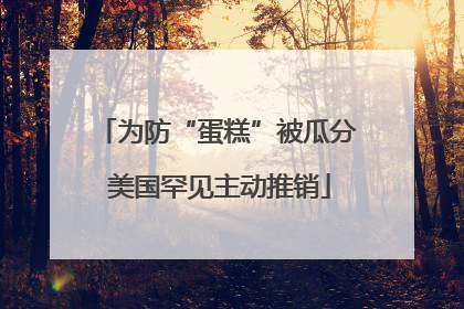 为防“蛋糕”被瓜分 美国罕见主动推销