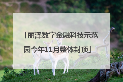 丽泽数字金融科技示范园今年11月整体封顶