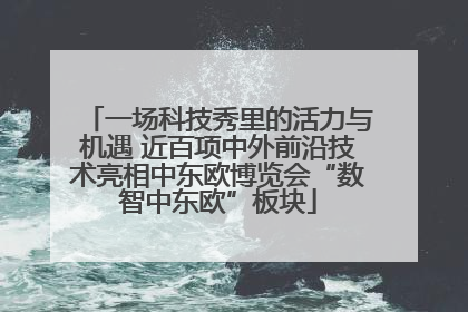 一场科技秀里的活力与机遇 近百项中外前沿技术亮相中东欧博览会“数智中东欧”板块