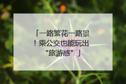 一路繁花一路景！乘公交也能玩出“旅游感”