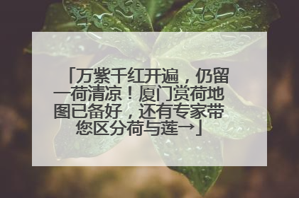 万紫千红开遍，仍留一荷清凉！厦门赏荷地图已备好，还有专家带您区分荷与莲→