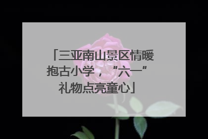 三亚南山景区情暖抱古小学，“六一”礼物点亮童心