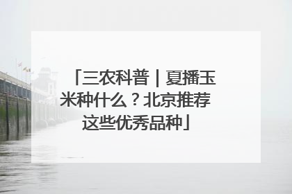 三农科普｜夏播玉米种什么？北京推荐这些优秀品种