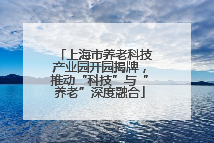 上海市养老科技产业园开园揭牌，推动“科技”与“养老”深度融合