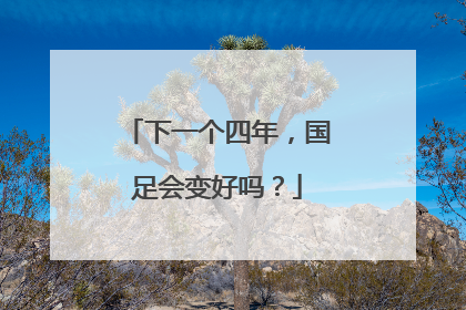 下一个四年，国足会变好吗？