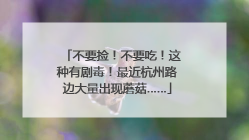 不要捡！不要吃！这种有剧毒！最近杭州路边大量出现蘑菇……