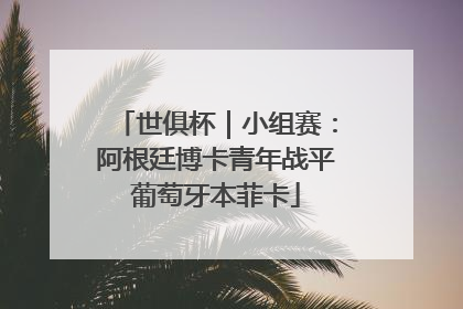 世俱杯｜小组赛：阿根廷博卡青年战平葡萄牙本菲卡