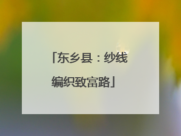 东乡县：纱线编织致富路