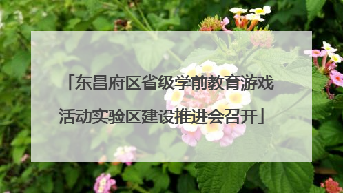东昌府区省级学前教育游戏活动实验区建设推进会召开