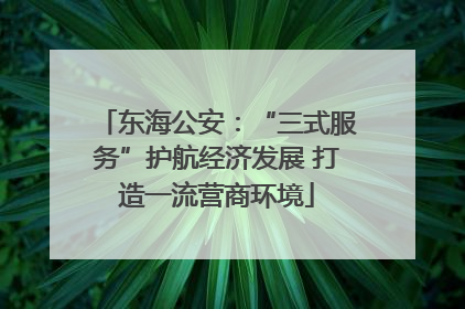 东海公安：“三式服务”护航经济发展 打造一流营商环境