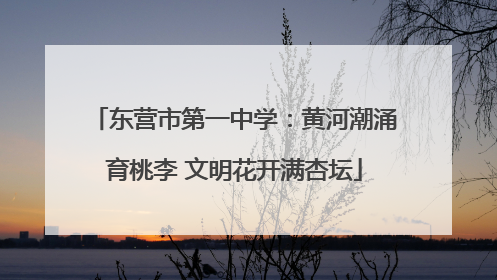 东营市第一中学：黄河潮涌育桃李 文明花开满杏坛