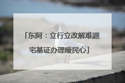 东阿：立行立改解难题 宅基证办理暖民心