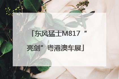 东风猛士M817“亮剑”粤港澳车展