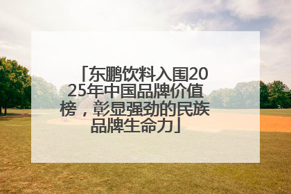 东鹏饮料入围2025年中国品牌价值榜，彰显强劲的民族品牌生命力