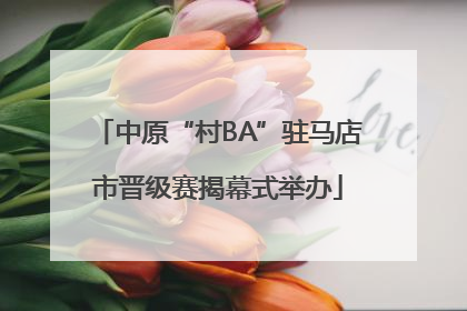 中原“村BA”驻马店市晋级赛揭幕式举办
