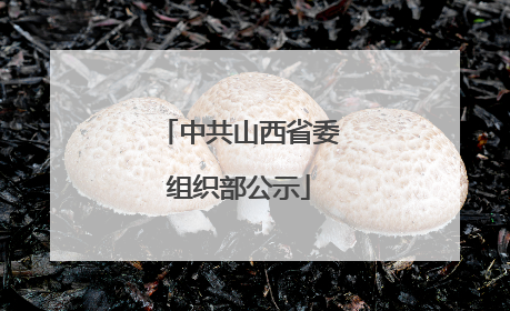 中共山西省委组织部公示